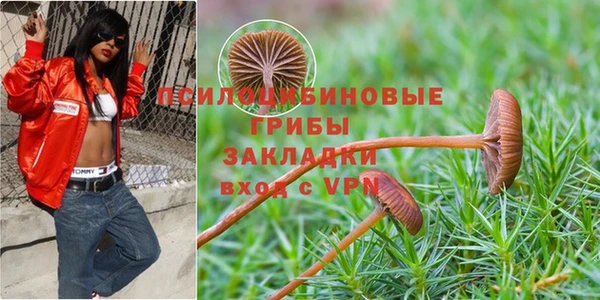 гидропоника Касимов